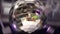 Party Disco ball with colorful lights rotating