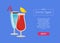 Party Drink Types Web Advertising Poster Alcohol