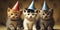 Party Kitten cats kittens wearing hats