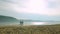 Party and people concept - group of smiling teen girls jumping on beach. Silhouette of three young women running around