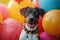 Party pup Dog sits amidst vibrant balloons and festive decor