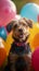 Party pup Dog sits amidst vibrant balloons and festive decor