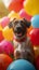 Party pup Dog sits amidst vibrant balloons and festive decor