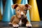 Party-Ready Pitbull Puppy: Dapper Attire and Playful Charm on Pastel Canvas