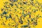 party yellow background with colorful confetti