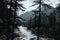 Parvati river surrounded by pine forest and mountains