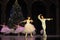 Pas de deux - Variation 2 (Dance of the Sugar-Plum Fairy)-The Ballet Nutcracker