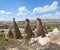 Pasabag valley in Cappadocia, Central Anatolia, Turkey. Pasabag valley Valley of the monks contains some of the most striking