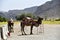 Pasargadae, Shiraz, Fars Province, Iran, June 22, 2019