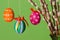 Paschal eggs on willow bouquet, horizontal over green
