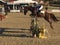 Paso Robles horse park Grand Prix jumping - november 2017