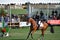 Paso Robles Horse Park Jumping Grand Prix
