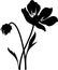 pasque flower Black Silhouette Generative Ai