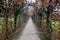 The passage through the castle bosquet along the natural park sidewalk on both sides is arched by hornbeams. French historic garde