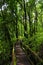 Passage in Doi inthanon