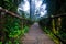 Passage in Doi inthanon national park, Thailand