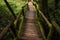 Passage in Doi inthanon national park, Thailand