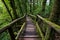 Passage in Doi inthanon national park, Thailand