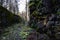 Passage through a granite rock. concrete structure. Passage to the powder cellar.