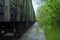 A passage on a small gravel embankment near the railroad between freight cars and trees.