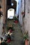 Passage, with steps decorated with potted plants, located in Barga in the province of Lucca in Tuscany.