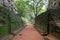 Passage to Lions rock in Sigiriya weathered and grown with moss