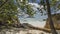 Passage to the ocean. Fallen leaves are lying on the sandy beach.