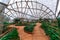 A passage in the vegetable garden