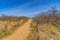 Passe through sand dunes, Staten Island NY US.