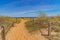 Passe through sand dunes, Staten Island NY US.