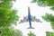 Passenger aircraft approach to landing above leaves, view from the of the forest trees.