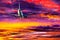 Passenger aircraft on colorful sky