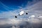 Passenger aircraft flies against a background of a cloudy sky. Aircraft left inclination.