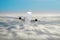 Passenger airplane is climbing high flight level in the sky above the clouds, motion speed blur.