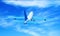 Passenger airplane flying among cumulus clouds high in the sky against shining sun at daytime. 3D illustration was done from my