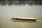 Passenger boat bring travelers people visit and travel in Mekong river