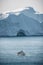 Passenger cruise ship sailing through the icy waters of arctic landscape in Ilulissat, Greenland. A small boat among