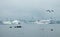 Passenger ferries in the port of Tallinn. Foggy weather. View of the city from the embankment of Pirita