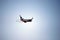 The passenger plane departing afar against the background of the blue sky at sunset.