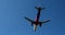 Passenger plane flies overhead, in the center of the frame. Blue sky in the background. The airplane is landing,