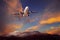 passenger plane flying above rock mountain against beautiful dusky sky