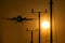 Passenger propeller plane approaching the runway at sunset