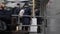 Passengers go through control to board plane. Pulkovo airport