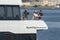 Passengers relaxing aboard high-speed ferry Nantucket Express