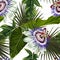 Passiflora flowers. Seamless floral pattern with violet glossy flowers and palm leaves.