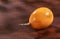 Passiflora ligularis - Granadilla delicious tropical fruit