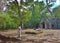 Passing lady at temple of Angkor Wat