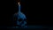 Passing Skull With Candle In The Dark