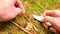 Passion for collecting mushrooms. Hand with jagged knife cut mushroom in forest ground. Hands carefully cut, clean and take away