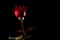 Passion in Darkness: Red Rose on Black Background